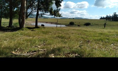 Chacra en venta, San Carlos, zona Partido Norte