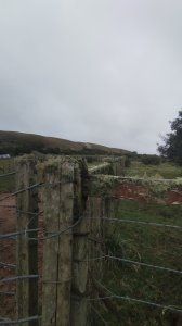 campo en venta, maldonado, en la zona del cerro catedral - zen5354p
