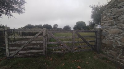 campo en venta, maldonado, en la zona del cerro catedral - zen5354p