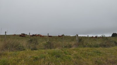 campo en venta, maldonado, en la zona del cerro catedral - zen5354p