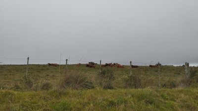 campo en venta, maldonado, en la zona del cerro catedral - zen5354p