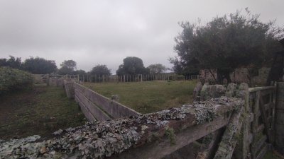 campo en venta, maldonado, en la zona del cerro catedral - zen5354p