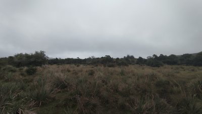 campo en venta, maldonado, en la zona del cerro catedral - zen5354p