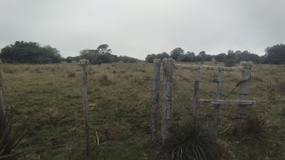 campo en venta, maldonado, en la zona del cerro catedral - zen5354p