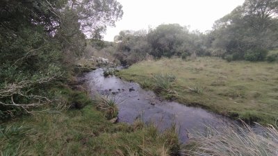 campo en venta, maldonado, en la zona del cerro catedral - zen5354p