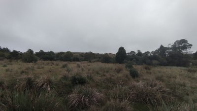 campo en venta, maldonado, en la zona del cerro catedral - zen5354p
