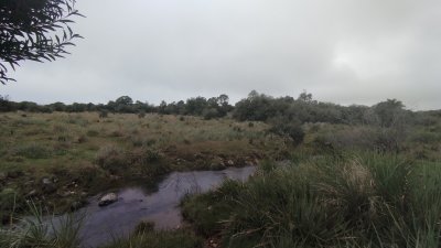 campo en venta, maldonado, en la zona del cerro catedral - zen5354p