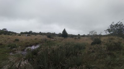 campo en venta, maldonado, en la zona del cerro catedral - zen5354p