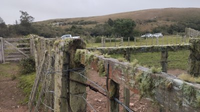 campo en venta, maldonado, en la zona del cerro catedral - zen5354p