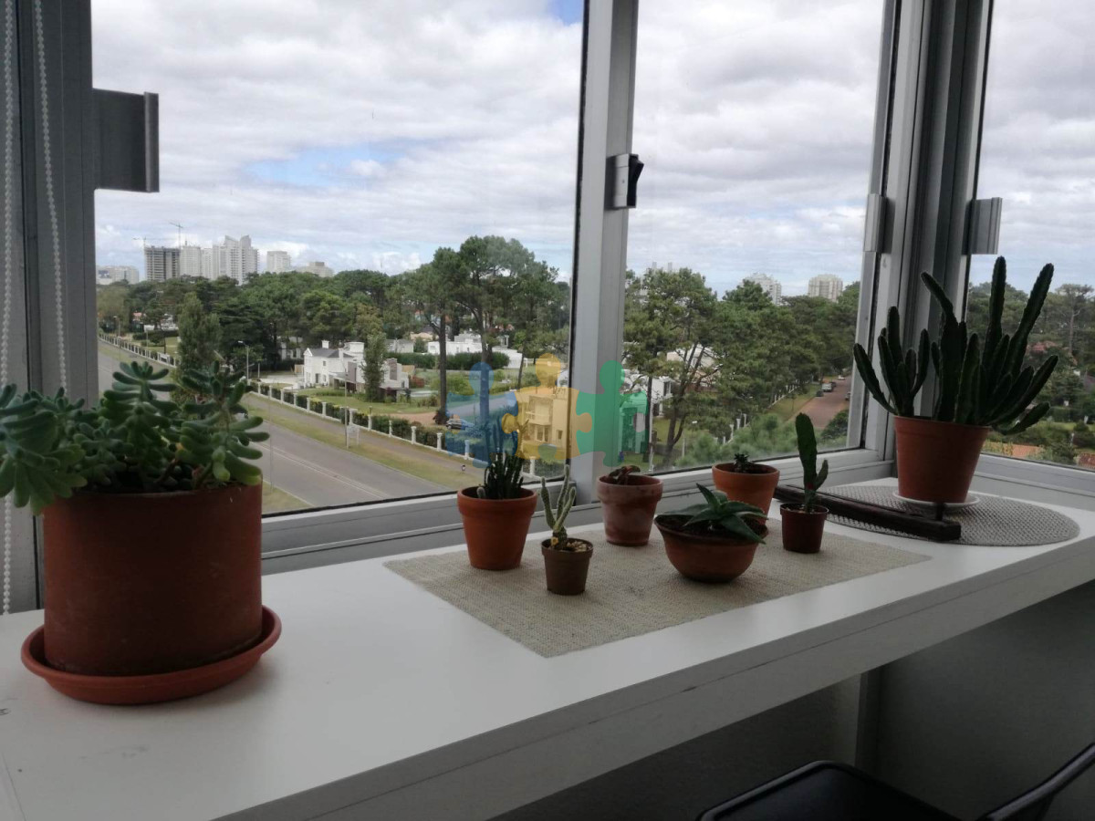 Roosevelt - GoPunta - Portal Inmobiliario de Punta del Este - Maldonado
