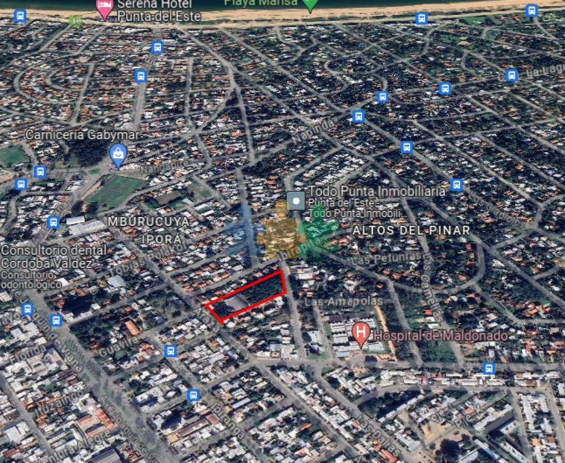 Ipora - GoPunta - Portal Inmobiliario de Punta del Este - Maldonado