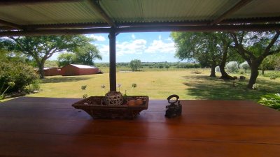 chacra sobre ruta 39 a pocos kilometros de san carlos  - ref : eqp5803 - equ5803h