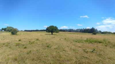 chacra sobre ruta 39 a pocos kilometros de san carlos  - ref : eqp5803 - equ5803h