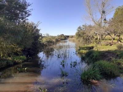 chacra en venta, san carlos, zona partido norte - ref : eqp5801 - equ5801h