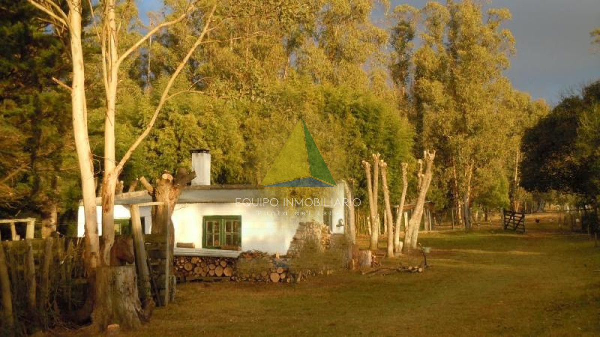 Chacra en venta ubicada a 2 km de la ciudad de Aigua. - Ref : EQP6754 - EQU6754H