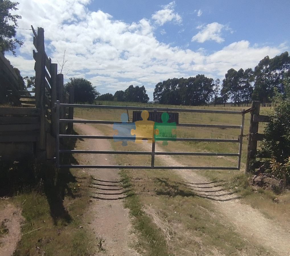 San Carlos - GoPunta - Portal Inmobiliario de Punta del Este - Maldonado