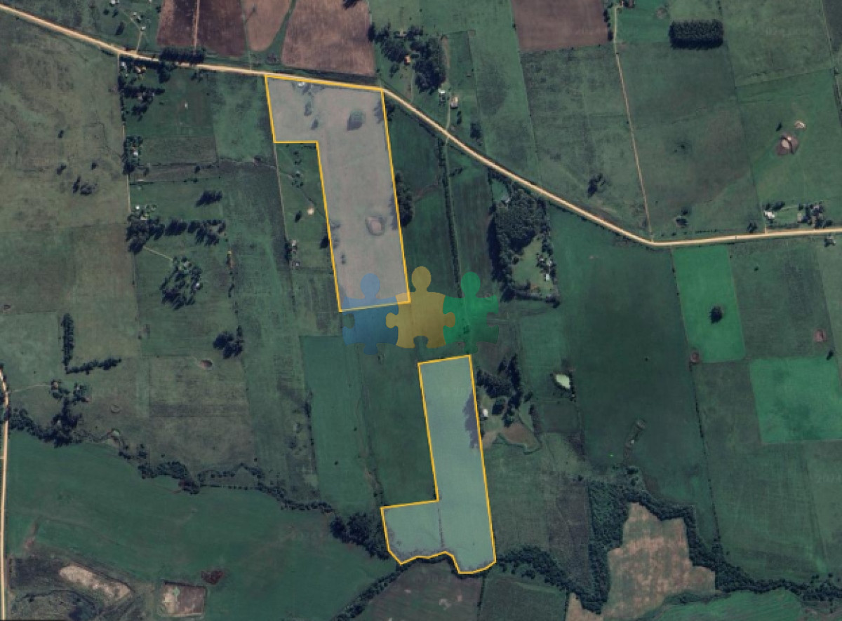Camino de los Ceibos - GoPunta - Portal Inmobiliario de Punta del Este - Maldonado