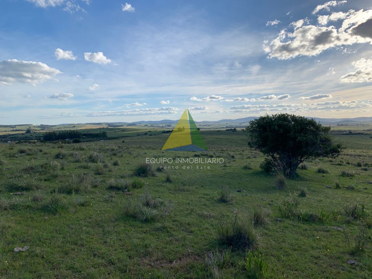 San Carlos - GoPunta - Portal Inmobiliario de Punta del Este - Maldonado