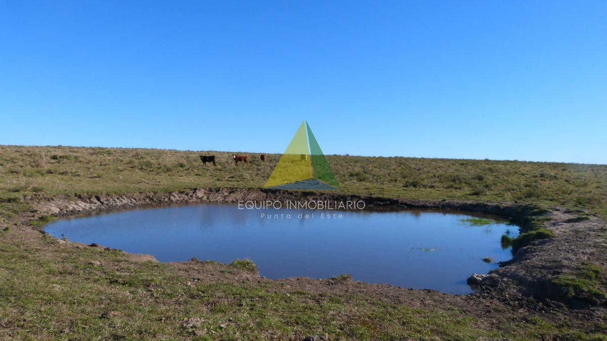 San Carlos - GoPunta - Portal Inmobiliario de Punta del Este - Maldonado