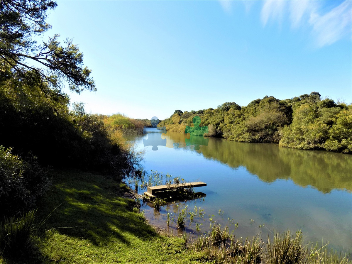 Camino de los Ceibos - GoPunta - Portal Inmobiliario de Punta del Este - Maldonado