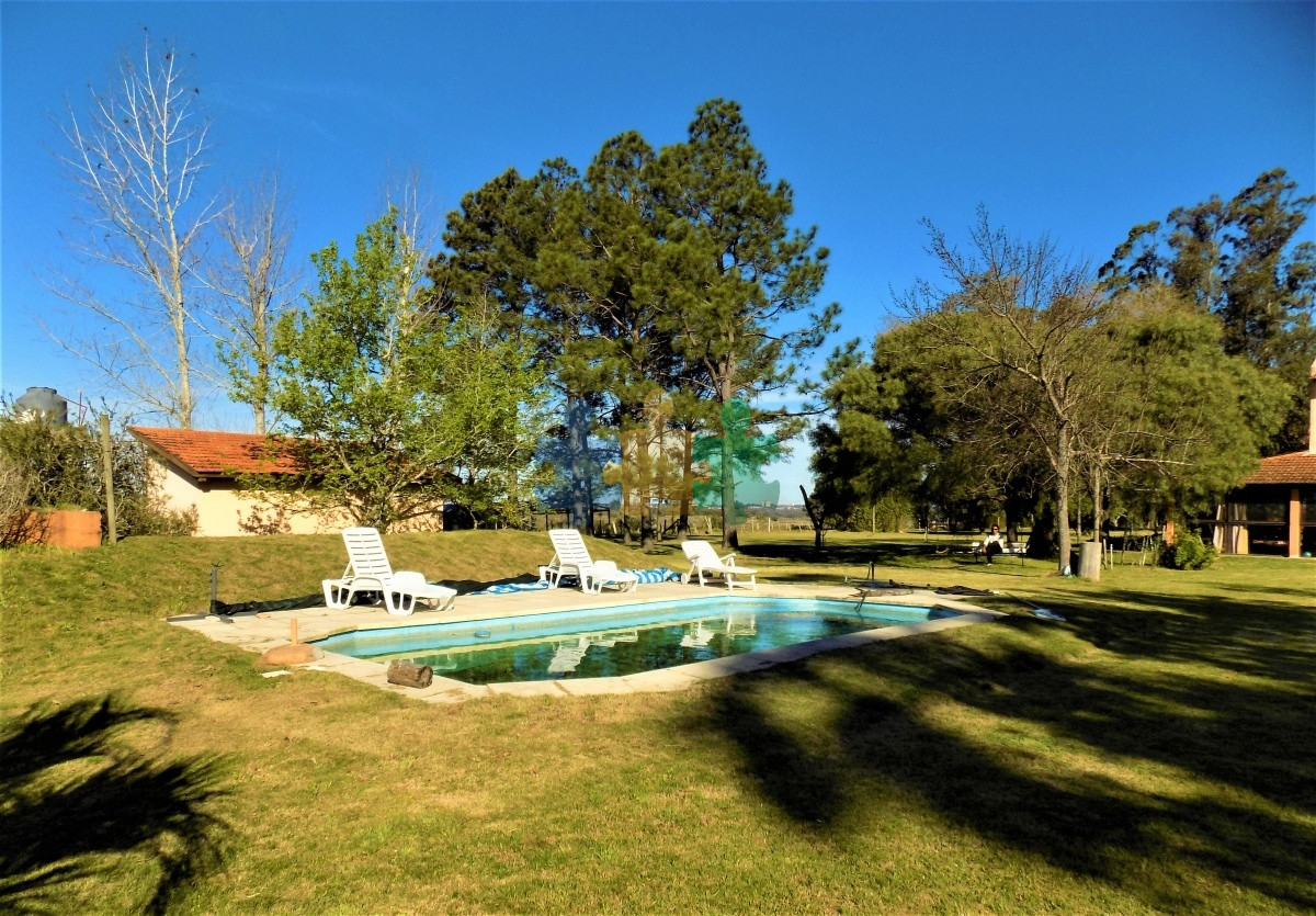 Camino de los Ceibos - GoPunta - Portal Inmobiliario de Punta del Este - Maldonado