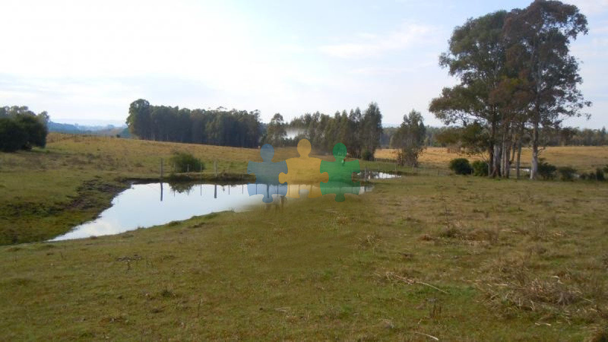 Zona Rural - GoPunta - Portal Inmobiliario de Punta del Este - Maldonado