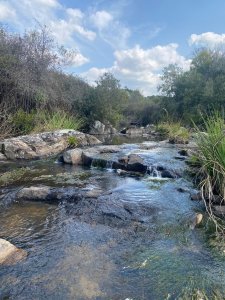 Chacra en venta, 5 hectareas* - Ref : EQP6371