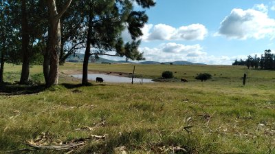 Chacra en venta, San Carlos, zona Partido Norte - Ref : EQP5800