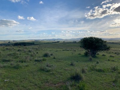 Chacra en venta con las mas de 5 hectáreas, próxima a San Carlos, Paso Cantera - Ref : EQP6728
