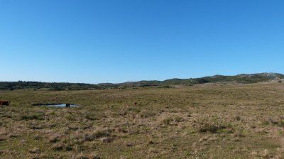 Chacra en venta con las mas de 5 hectáreas, próxima a San Carlos, Paso Cantera - Ref : EQP6729