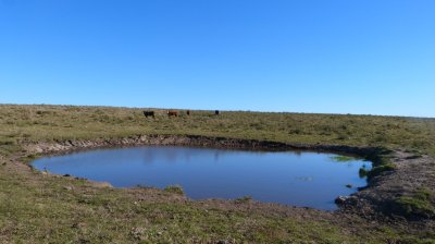 Chacra en venta con las mas de 5 hectáreas, próxima a San Carlos, Paso Cantera - Ref : EQP6731