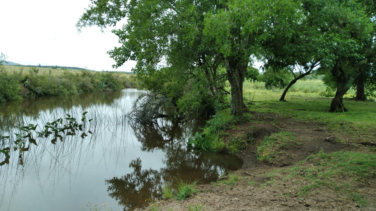 Chacra, San Carlos, zona Partido Norte