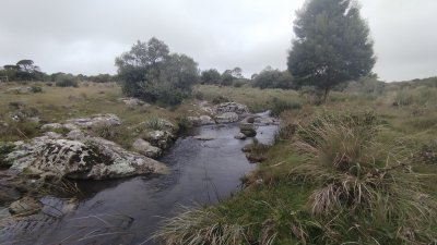 Campo en venta, Maldonado, en la zona del Cerro Catedral