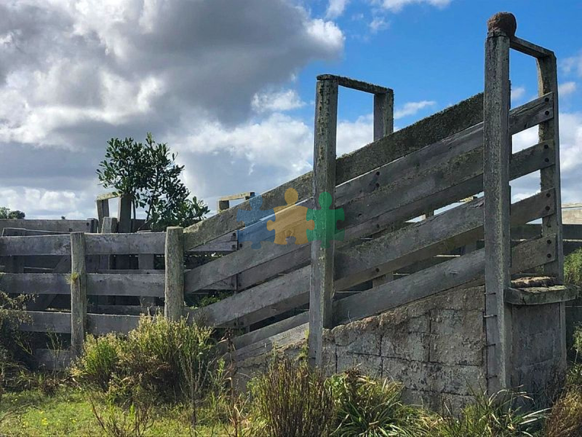 En venta muy buen campo ganadero y forestal   Ref : EQP3046 - GoPunta - Portal Inmobiliario de Punta del Este - Maldonado