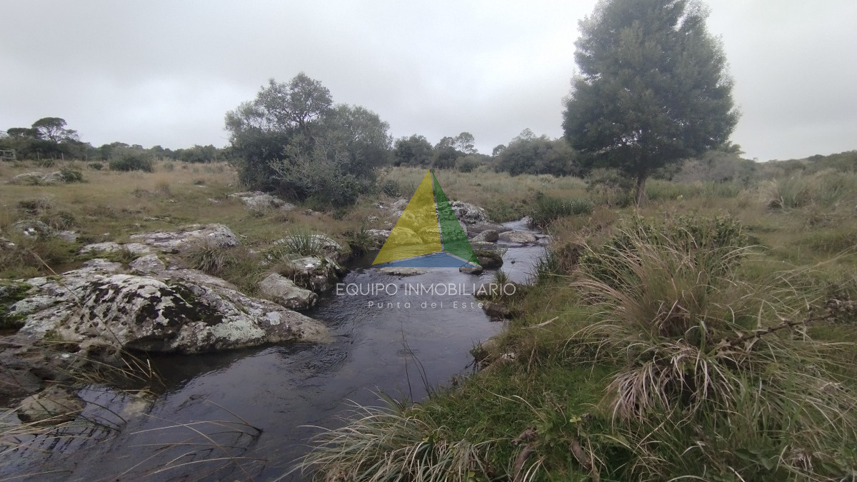 Campo en venta, Maldonado, en la zona del Cerro Catedral - Ref : EQP6310 - EQU6310P