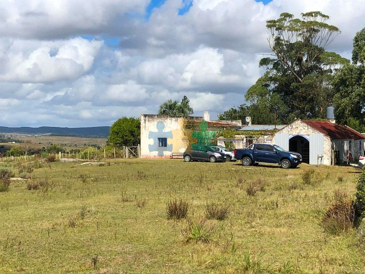 En venta muy buen campo ganadero y forestal   Ref : EQP3046 - GoPunta - Portal Inmobiliario de Punta del Este - Maldonado