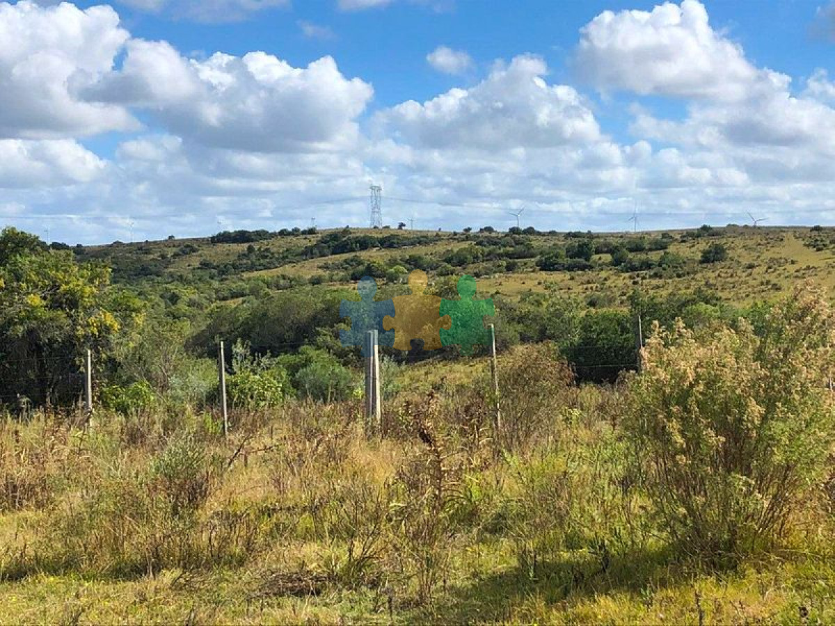 En venta muy buen campo ganadero y forestal   Ref : EQP3046 - GoPunta - Portal Inmobiliario de Punta del Este - Maldonado
