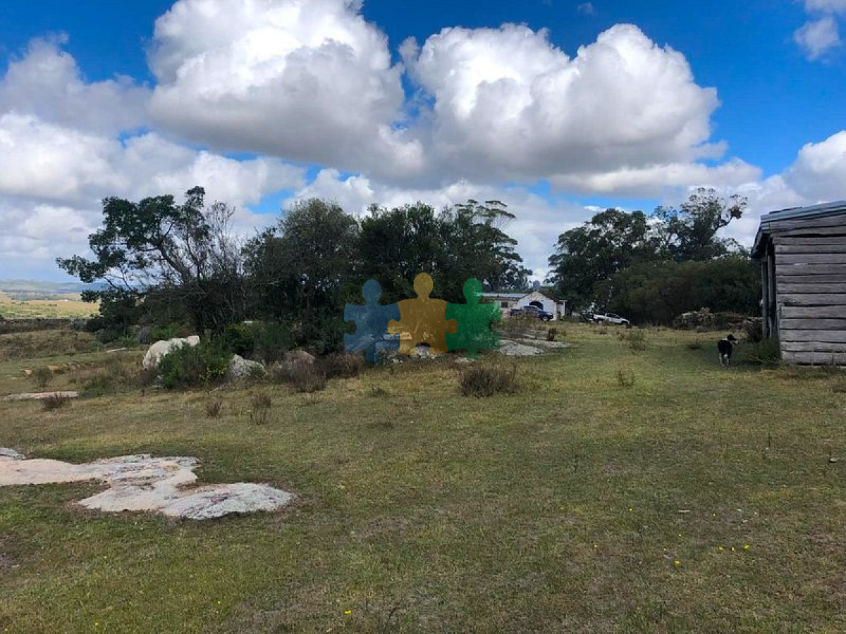 En venta muy buen campo ganadero y forestal   Ref : EQP3046 - GoPunta - Portal Inmobiliario de Punta del Este - Maldonado