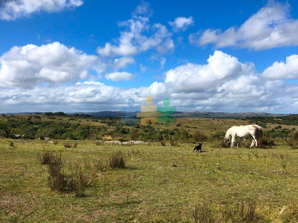 En venta muy buen campo ganadero y forestal   Ref : EQP3046 - GoPunta - Portal Inmobiliario de Punta del Este - Maldonado