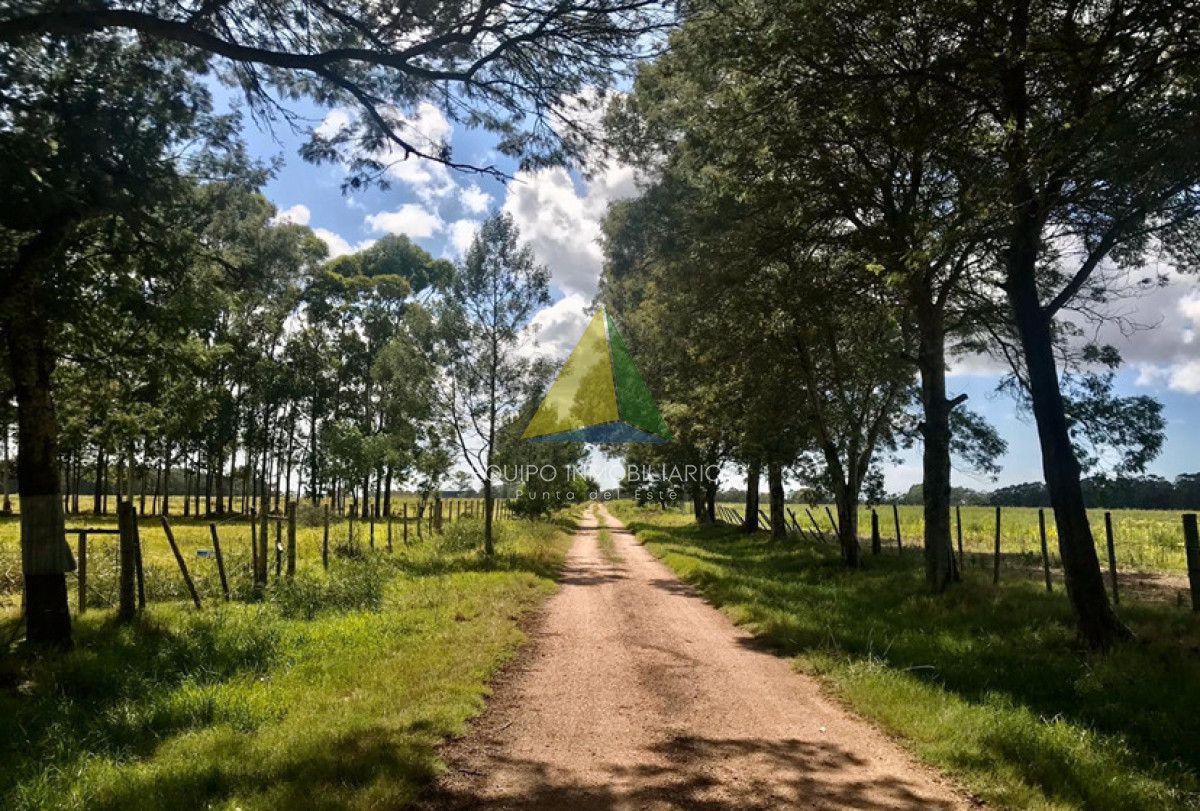 EN VENTA - Propiedad Rural Agro-Ganadera - Ref : EQP8543 - EQU8543P