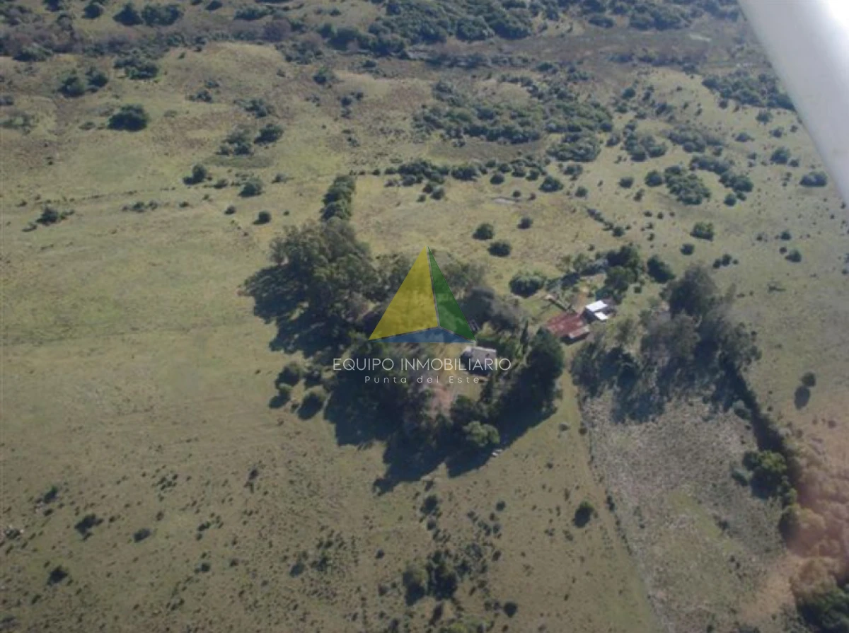 QnVlbiBjYW1wbyBkZSA2MDAgaGVjdGFyZWFzIGVuIFJvY2hhIC0gUmVmIDogRVFQNzc3Mw==