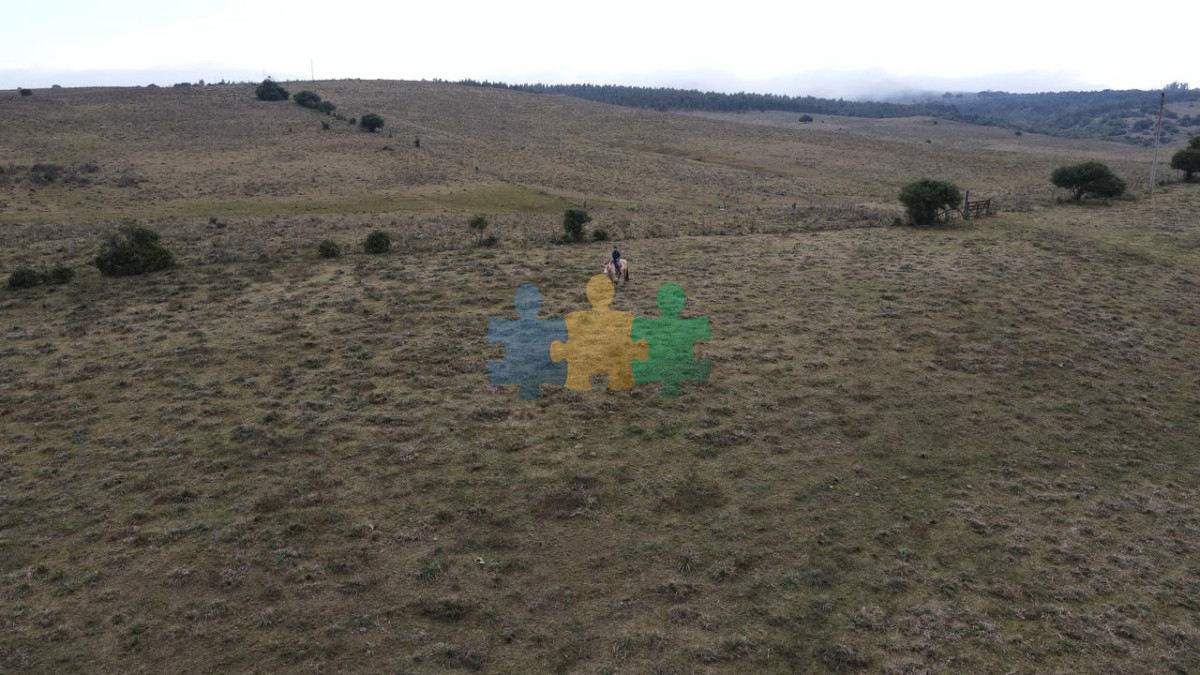 En venta campo en Lavalleja, Puntas de San Francisco, 92 Hectáreas   Ref : EQP7119 - GoPunta - Portal Inmobiliario de Punta del Este - Maldonado
