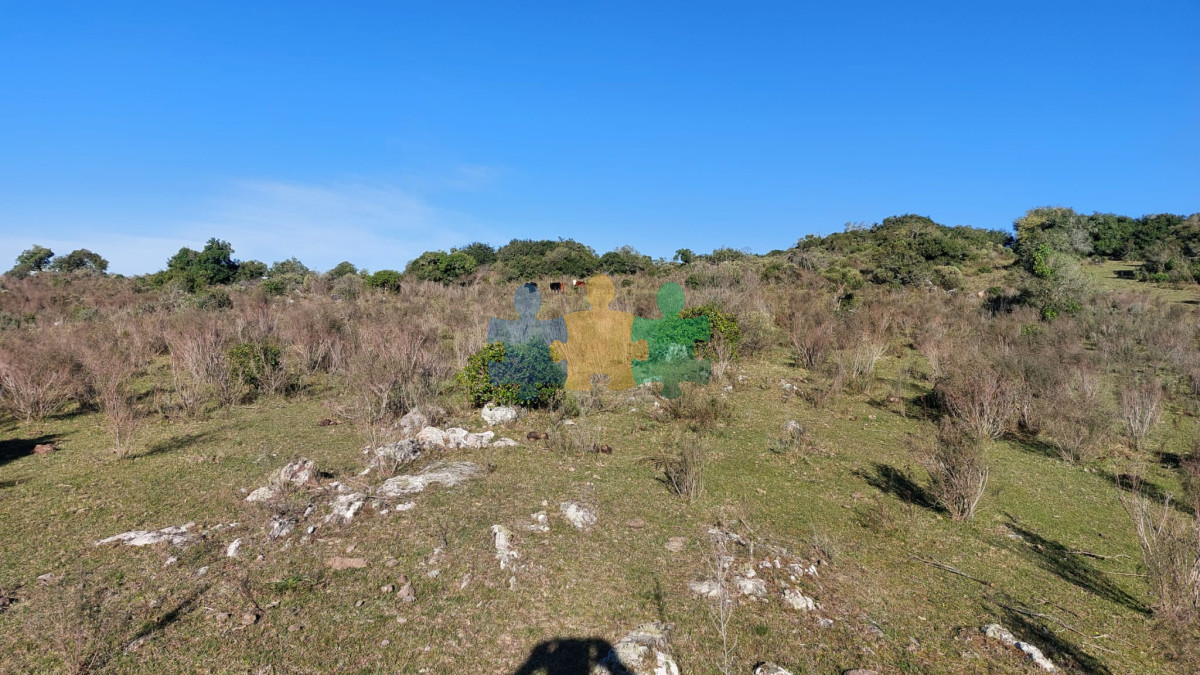 Campo de 52 hectareas, ideal para turismo   Ref : EQP6793 - GoPunta - Portal Inmobiliario de Punta del Este - Maldonado