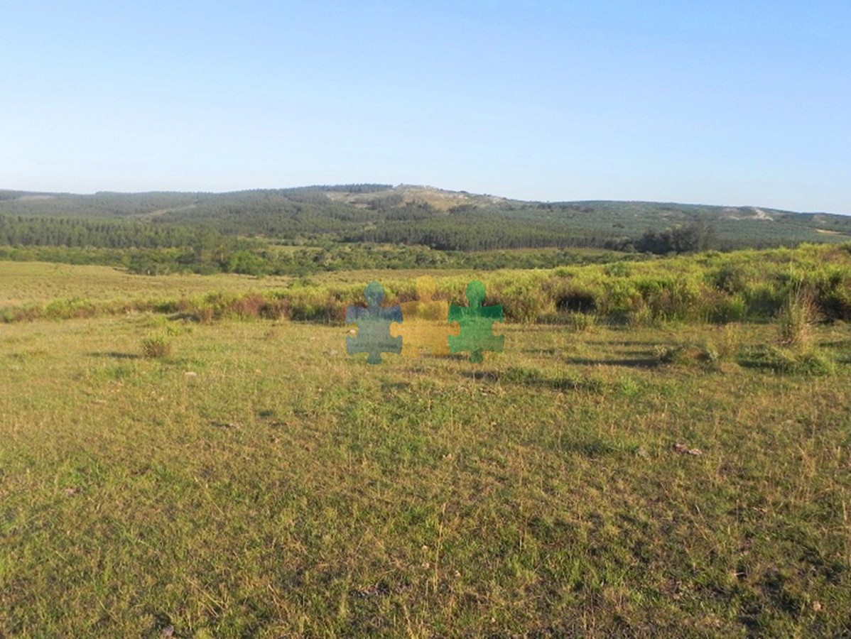 Venta de campo en Rocha, 33 hectáreas   Ref : EQP6968 - GoPunta - Portal Inmobiliario de Punta del Este - Maldonado
