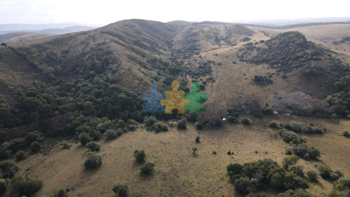 En venta campo en Lavalleja, Puntas de San Francisco, 92 Hectáreas   Ref : EQP7119 - GoPunta - Portal Inmobiliario de Punta del Este - Maldonado