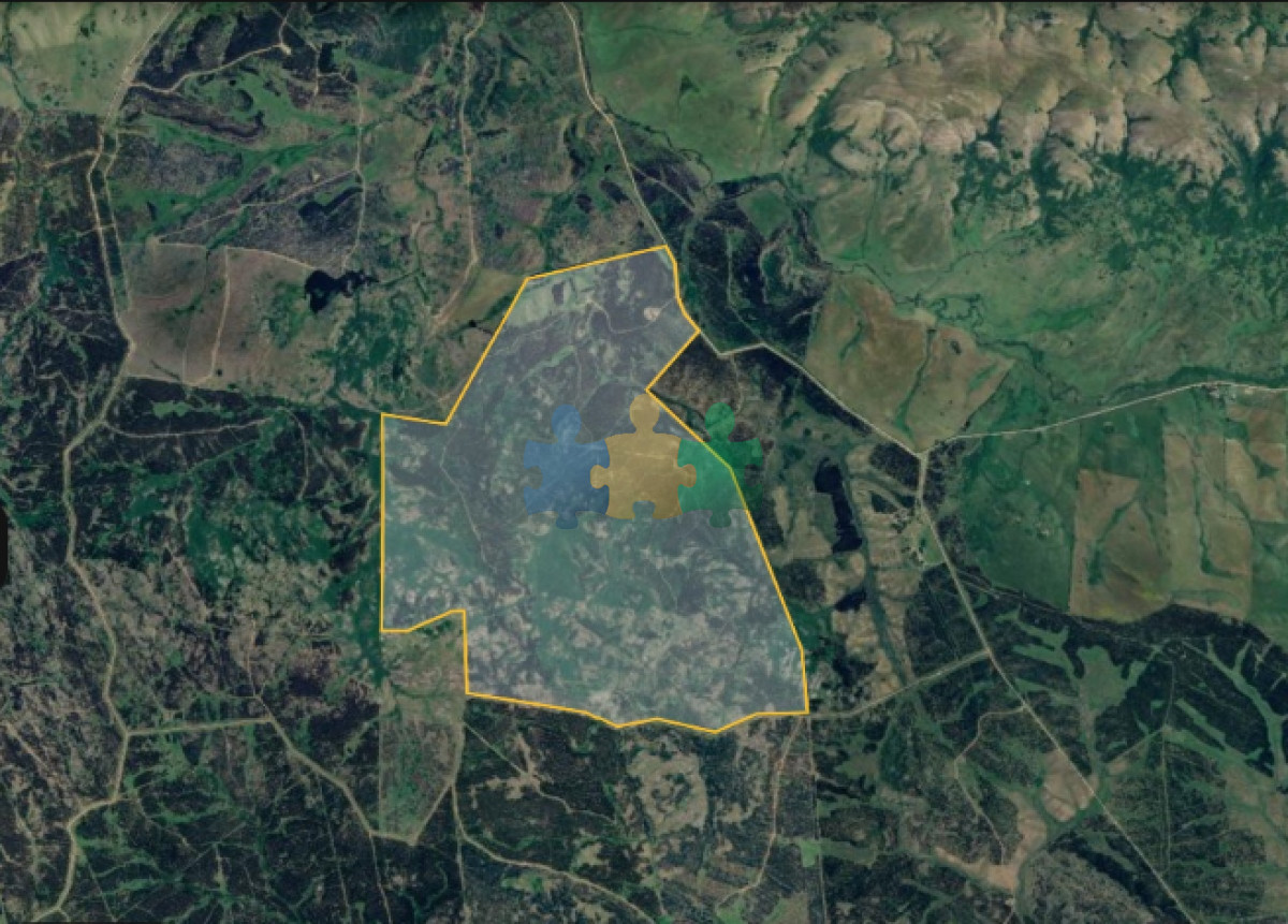 Se vende campo forestado en Lavalleja    Ref : EQP6830 - GoPunta - Portal Inmobiliario de Punta del Este - Maldonado