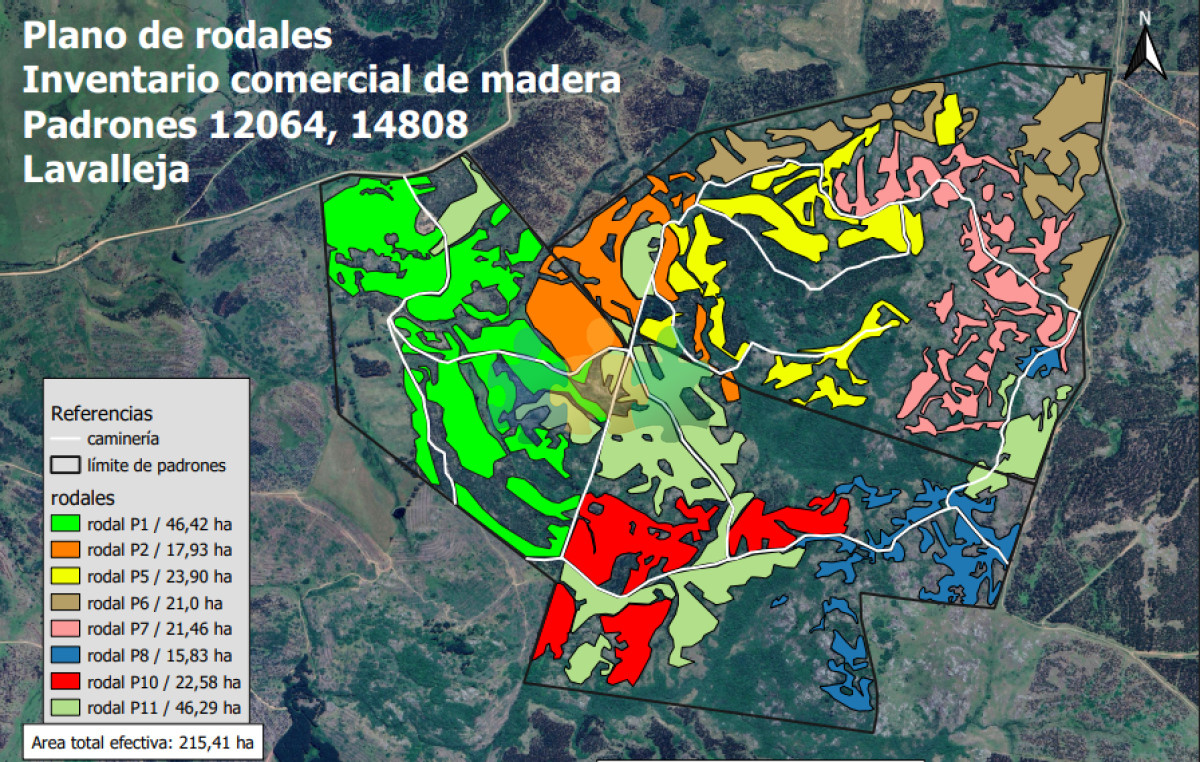Se vende campo forestado en Lavalleja    Ref : EQP6830 - GoPunta - Portal Inmobiliario de Punta del Este - Maldonado
