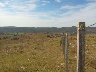 Venta de campo en Rocha, 33 hectáreas - Ref : EQP6968