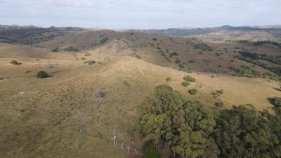 En venta campo en Lavalleja, Puntas de San Francisco, 92 Hectáreas - Ref : EQP7119