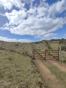 Chacra de 5 hectareas en Lavalleja ruta 81 - Ref : EQP6954